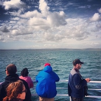 looking for killer whales (and yes we saw some. and dolphins up close)