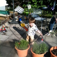 watering the plants