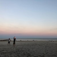 Enjoying the evening at the beach. As every day :)