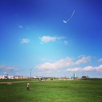Flying a kite.