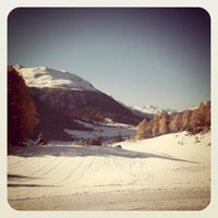 sunny engadin