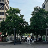 Good morning Fribourg. Long time no see.