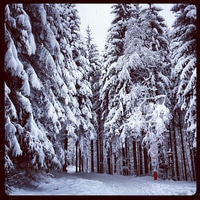 uetliberg schlittelweg wonderland