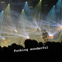 Archive  Fucking wonderful