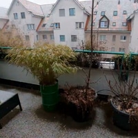 My balcony this afternoon