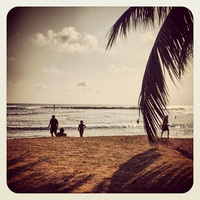 snorkeling with turtles