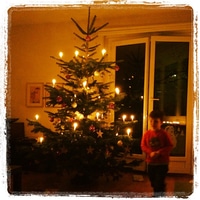 xmas tree Action.
