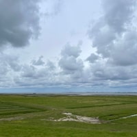 Das 4 Büsum - Husum.  Lots of tailwind. And last half hour pretty rainy :( #northseabiketour23