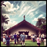 in aotearoa (aka New Zealand)