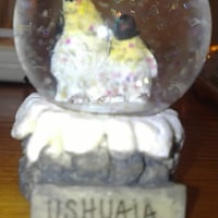 for the bundlebits :)