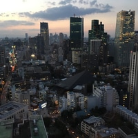 Down town Tokyo
