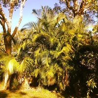 Our villa(li) for the next few days