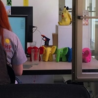 rainbow elephpants. my new view from my place. #l183