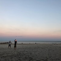Enjoying the evening at the beach. As every day :)