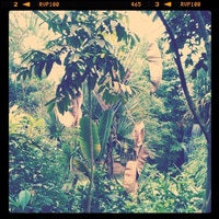 nice and tropic 29 degrees here ;)