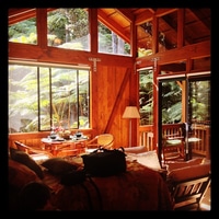 our room in the jungle for the next 3 nights.