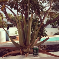 Made it to the island.