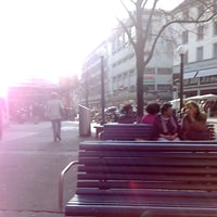 enjoying the sun after a great party