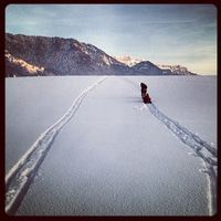 to the hill please to the hill