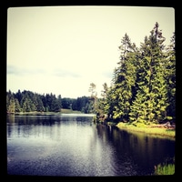 Almost feels like finland