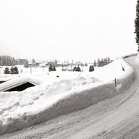 Snowy morning view from the sofa