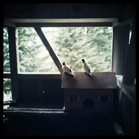 I can make "pigeons on the roof" pictures, too, @sicher ;)