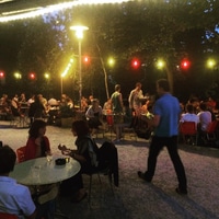 more summer in Zurich