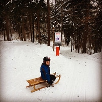 sledding in Zurich city #uetliberg