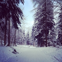 Tobagoing on the uetliberg.