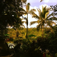 the view from our balcony here in Bali.
