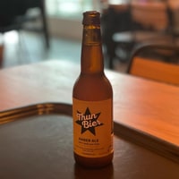 We made it to Thun without any rain. Only started during putting up the tent …