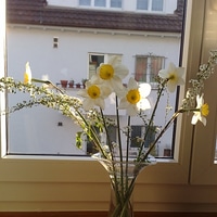 from *our* garden :)