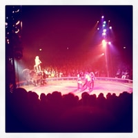 in the circus