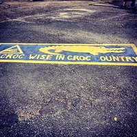be croc wise