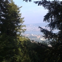 view over lake of zürich