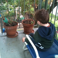 yay. a Bagger in neighbors' garden