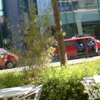 Later on the way home